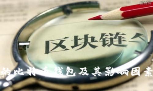 最大的比特币钱包及其影响因素分析