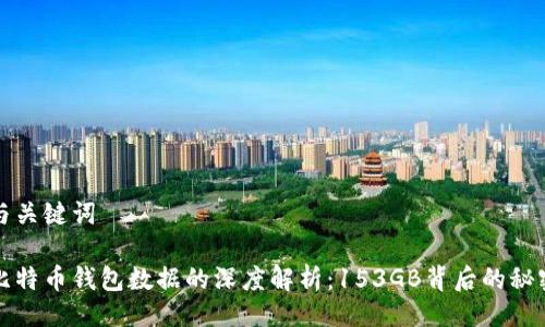 与关键词

比特币钱包数据的深度解析：153GB背后的秘密