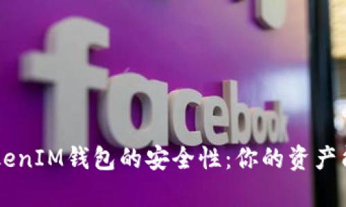 探究TokenTokenIM钱包的安全性：你的资产能否安全存储?