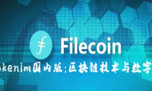 深入解析Tokenim国内版：区块链技术与数字资产的未来