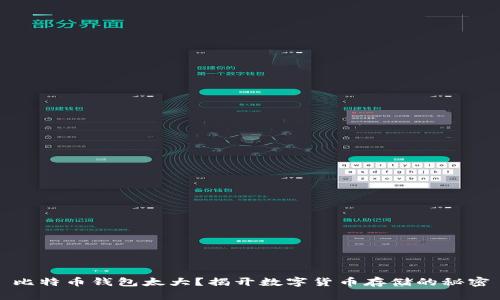比特币钱包太大？揭开数字货币存储的秘密