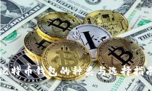 比特币钱包的种类与选择指南