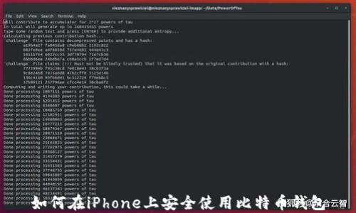 
如何在iPhone上安全使用比特币钱包