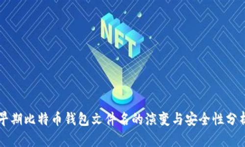 早期比特币钱包文件名的演变与安全性分析