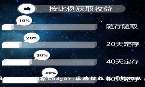 使用Tokenim观察Ledger：区块链数据可视化的未来