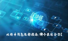 比特币钱包选择指南：哪个最适合你？