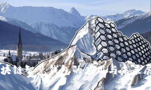 区块链智慧钱包的应用与未来展望