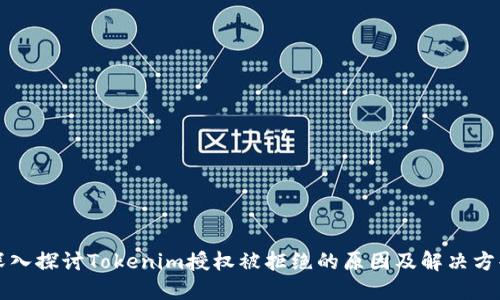 深入探讨Tokenim授权被拒绝的原因及解决方案