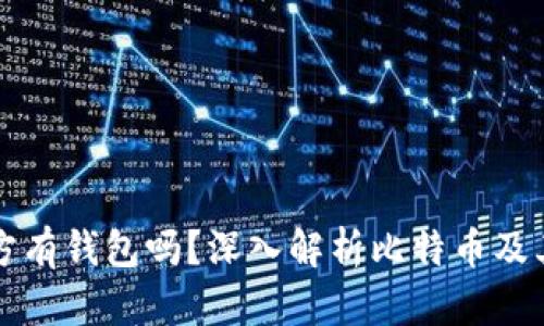 比特币官方有钱包吗?深入解析比特币及其钱包类型