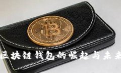 沈阳区块链钱包的崛起与未来展望