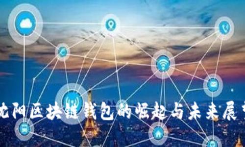 沈阳区块链钱包的崛起与未来展望