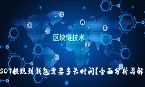 USDT提现到钱包需要多长时间?全面分析与解答