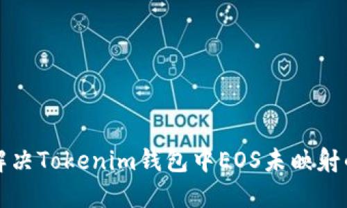 如何解决Tokenim钱包中EOS未映射的问题