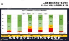   比特币与中国ICO钱包的全面解析