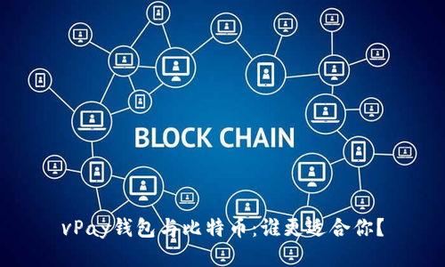vPay钱包与比特币:谁更适合你?