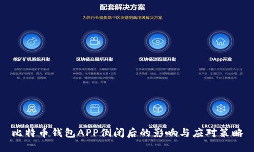 比特币钱包APP倒闭后的影响与应对策略