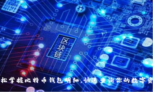 轻松掌握比特币钱包明细,快速查询你的数字资产