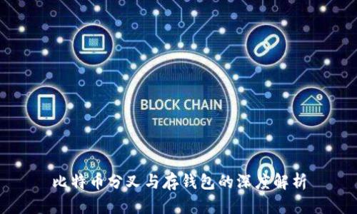 比特币分叉与存钱包的深度解析