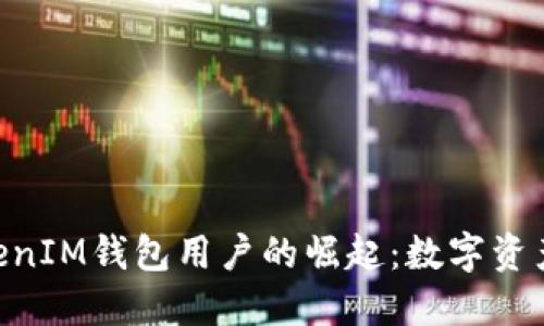 解密TokenTokenIM钱包用户的崛起：数字资产管理的新视界