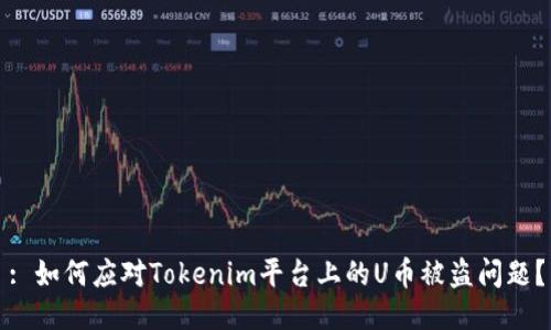 : 如何应对Tokenim平台上的U币被盗问题？