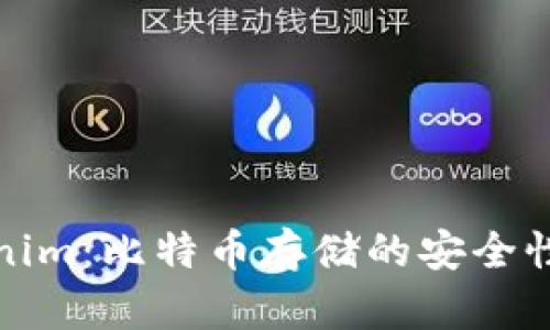 Tokenim：比特币存储的安全性探索