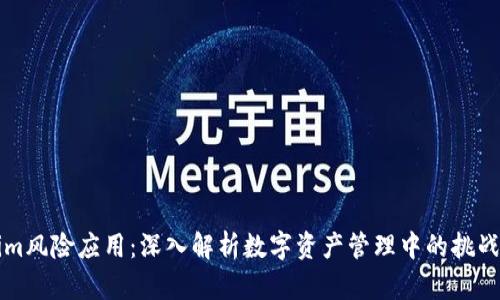 Tokenim风险应用：深入解析数字资产管理中的挑战与对策